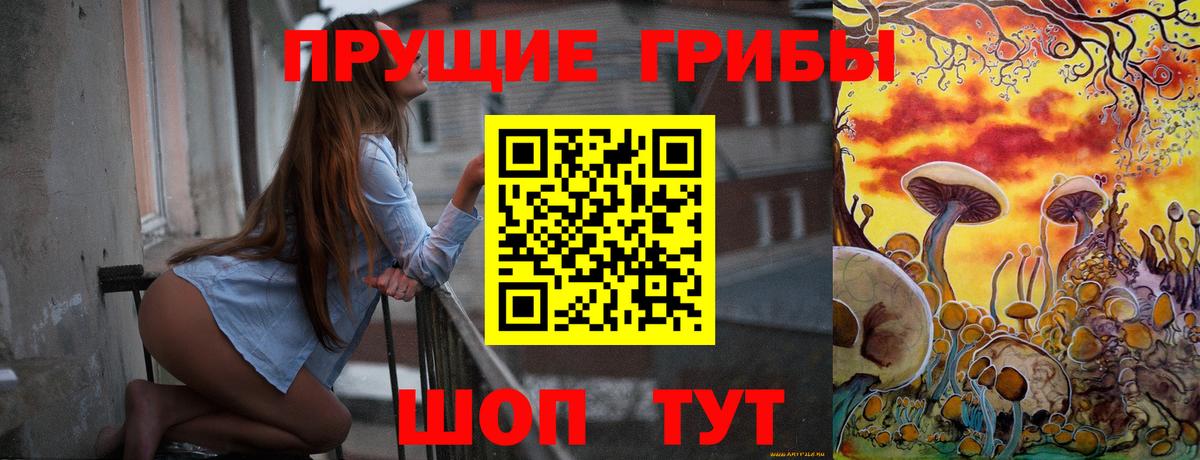Тимашёвск  Псилоцибиновые грибы MAGIC MUSHROOMS  Вход с VPN 